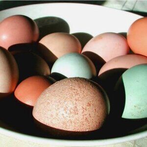 FOLLOWERS / SELLERS PLEASE READ & SHARE